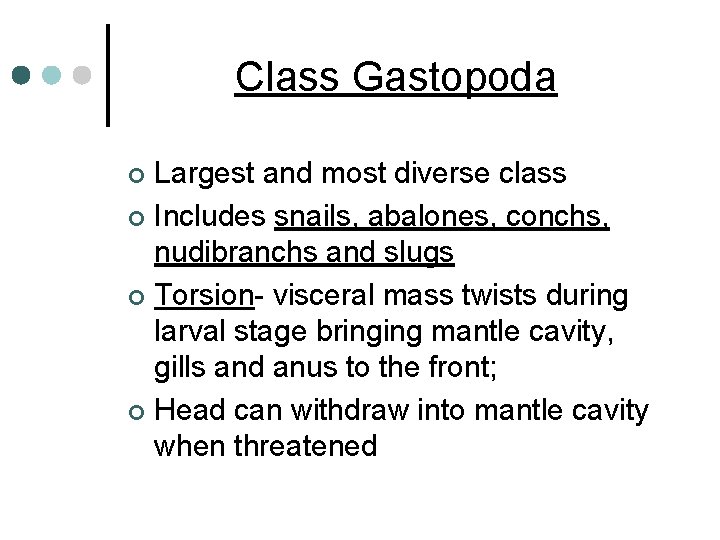 Class Gastopoda Largest and most diverse class ¢ Includes snails, abalones, conchs, nudibranchs and