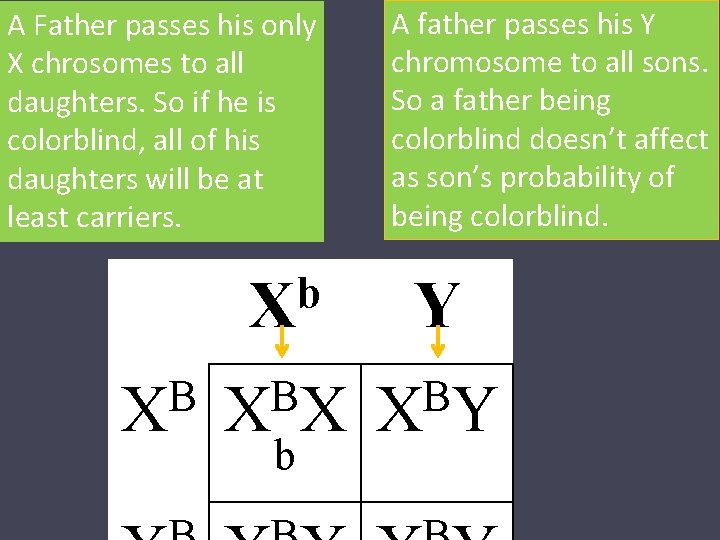 A Father passes his only X chrosomes to all daughters. So if he is