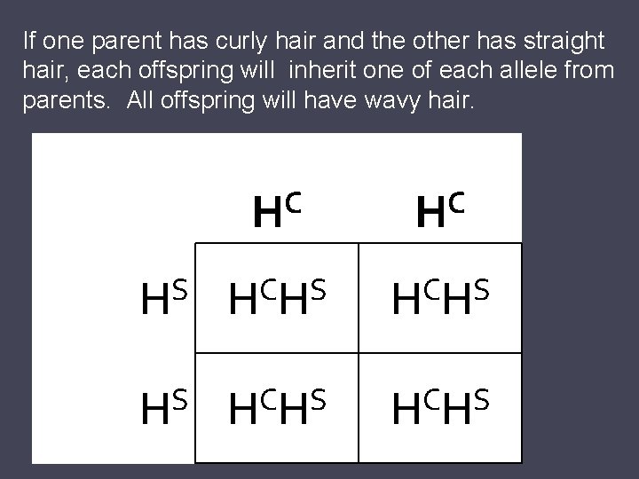 If one parent has curly hair and the other has straight hair, each offspring