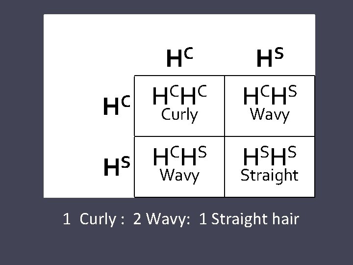 C H S H C C HH Curly C S HH Wavy S H