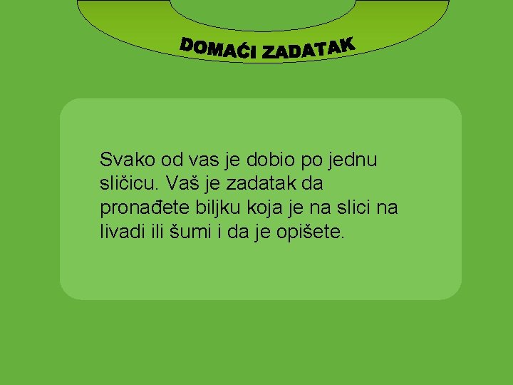 Svako od vas je dobio po jednu sličicu. Vaš je zadatak da pronađete biljku