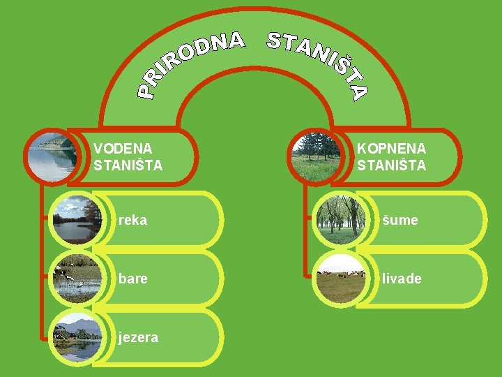 VODENA STANIŠTA KOPNENA STANIŠTA reka šume bare livade jezera 