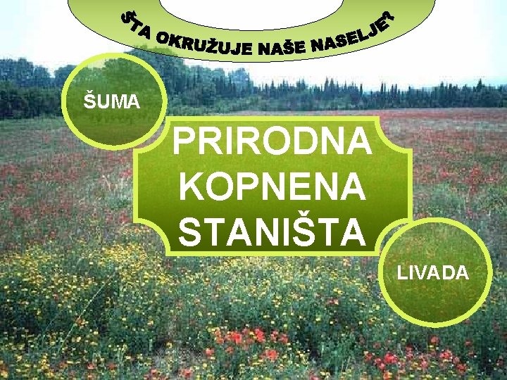 ŠUMA PRIRODNA KOPNENA STANIŠTA LIVADA 