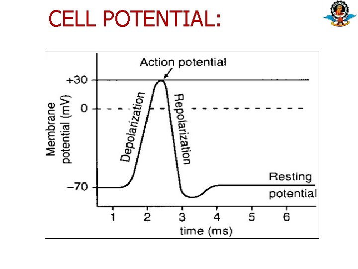 CELL POTENTIAL: 