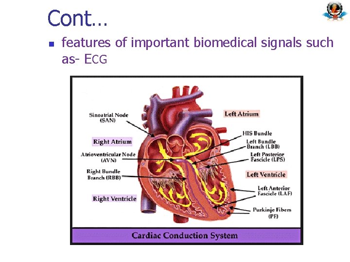Cont… n features of important biomedical signals such as- ECG 