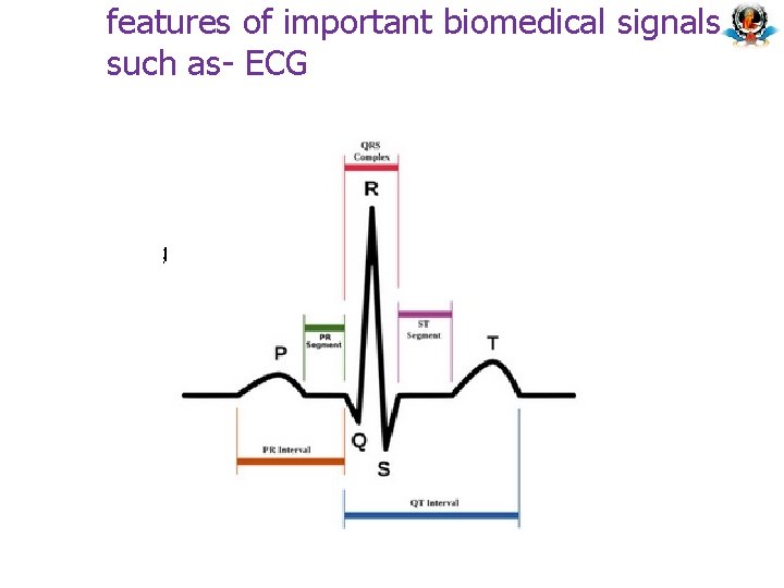 features of important biomedical signals such as- ECG 