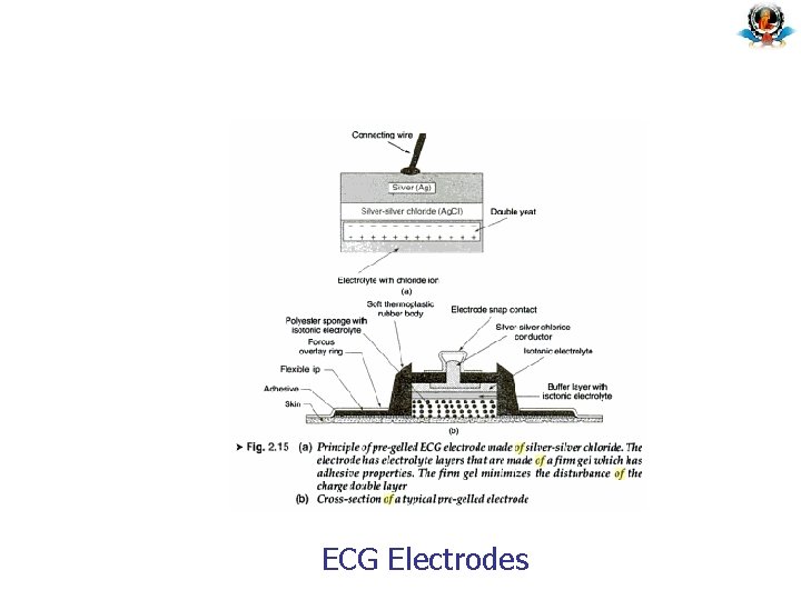 ECG Electrodes 