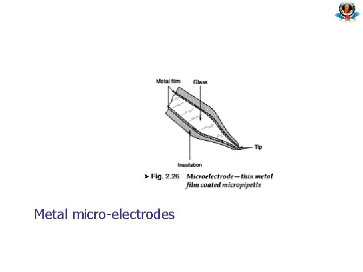 Metal micro-electrodes 