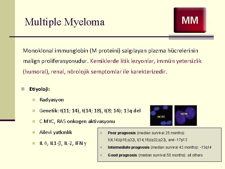 MM Multiple Myeloma Monoklonal immunglobin (M proteini) salgılayan plazma hücrelerinin malign proliferasyonudur. Kemiklerde litik