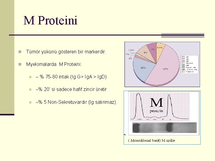 M Proteini n Tümör yükünü gösteren bir markerdir. n Myelomalarda M Proteini: n %