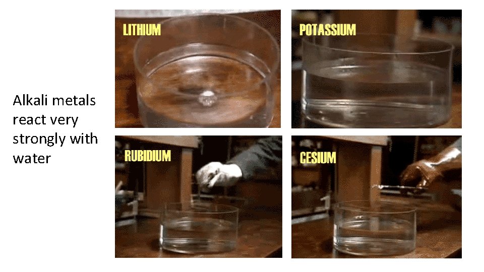 Alkali metals react very strongly with water Alkali metals react very strongly with water