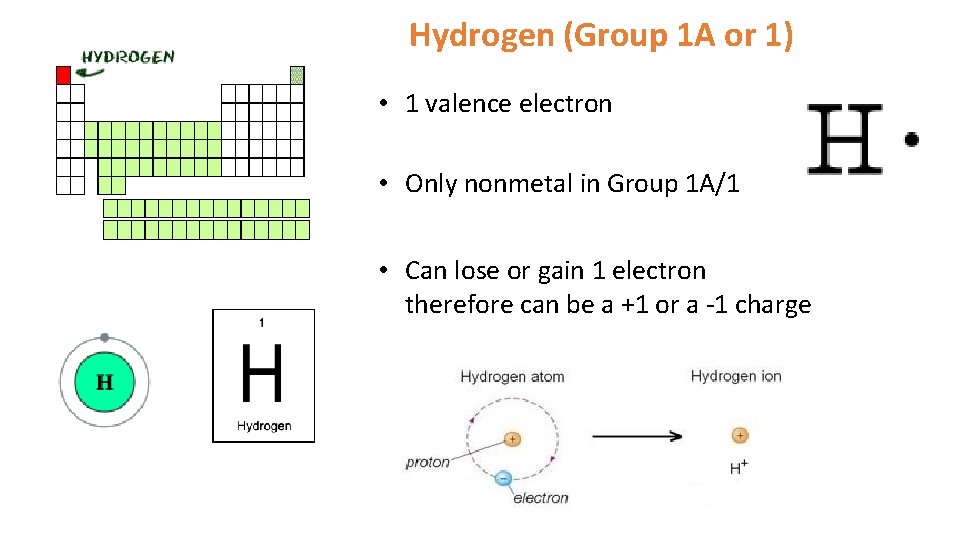 Hydrogen (Group 1 A or 1) • 1 valence electron • Only nonmetal in Hydrogen (Group 1 A or 1) • 1 valence electron • Only nonmetal in