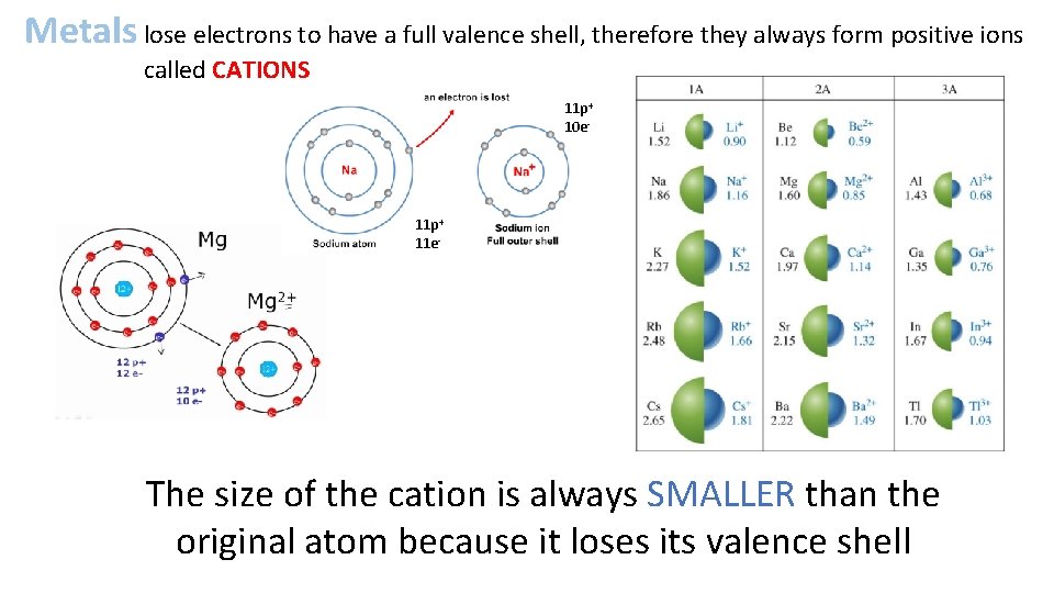 Metals lose electrons to have a full valence shell, therefore they always form positive Metals lose electrons to have a full valence shell, therefore they always form positive