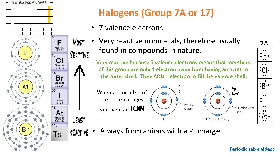 Halogens (Group 7 A or 17) • 7 valence electrons • Very reactive nonmetals, Halogens (Group 7 A or 17) • 7 valence electrons • Very reactive nonmetals,