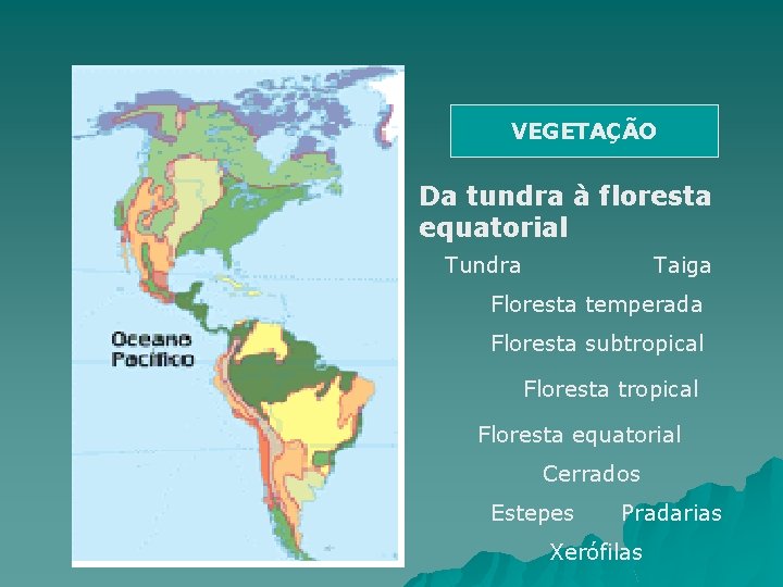 VEGETAÇÃO Da tundra à floresta equatorial Tundra Taiga Floresta temperada Floresta subtropical Floresta equatorial