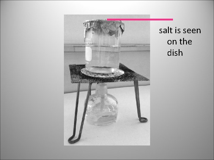 salt is seen on the dish 