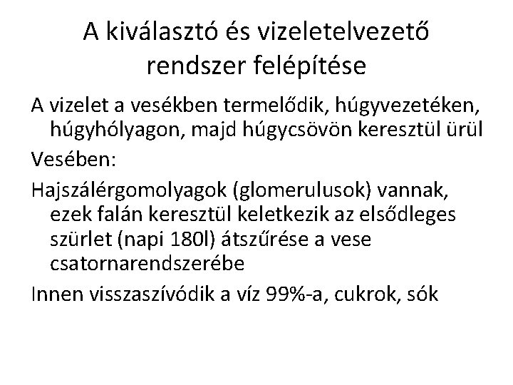 A kiválasztó és vizeletelvezető rendszer felépítése A vizelet a vesékben termelődik, húgyvezetéken, húgyhólyagon, majd