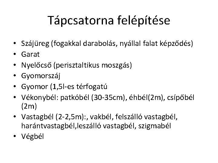 Tápcsatorna felépítése Szájüreg (fogakkal darabolás, nyállal falat képződés) Garat Nyelőcső (perisztaltikus moszgás) Gyomorszáj Gyomor