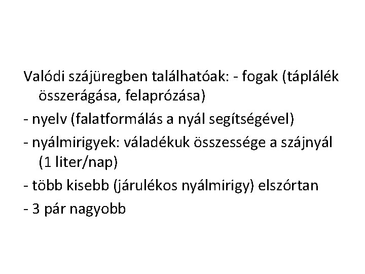 Valódi szájüregben találhatóak: - fogak (táplálék összerágása, felaprózása) - nyelv (falatformálás a nyál segítségével)