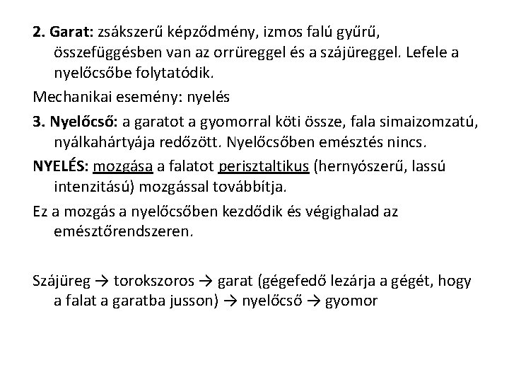 2. Garat: zsákszerű képződmény, izmos falú gyűrű, összefüggésben van az orrüreggel és a szájüreggel.