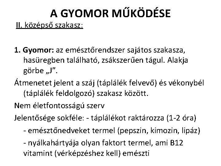 A GYOMOR MŰKÖDÉSE II. középső szakasz: 1. Gyomor: az emésztőrendszer sajátos szakasza, hasüregben található,