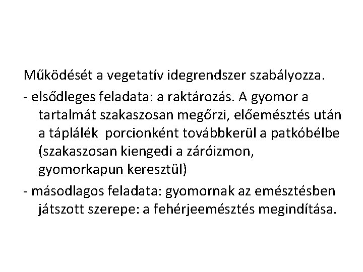 Működését a vegetatív idegrendszer szabályozza. - elsődleges feladata: a raktározás. A gyomor a tartalmát