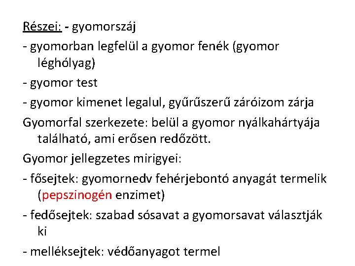 Részei: - gyomorszáj - gyomorban legfelül a gyomor fenék (gyomor léghólyag) - gyomor test