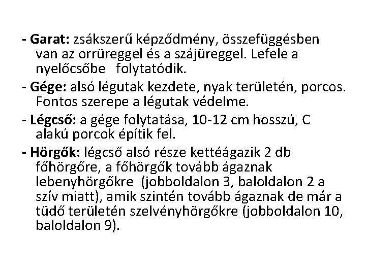 - Garat: zsákszerű képződmény, összefüggésben van az orrüreggel és a szájüreggel. Lefele a nyelőcsőbe