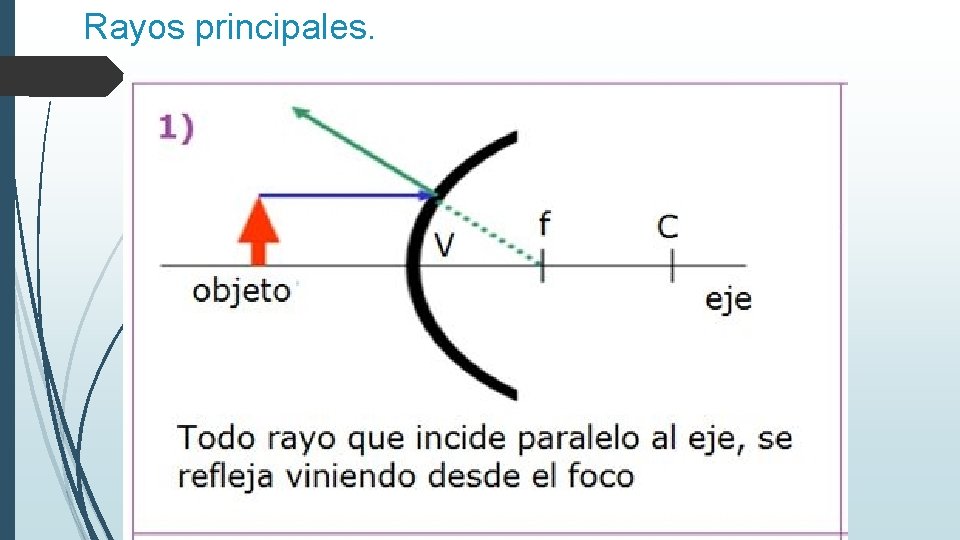 Rayos principales. 