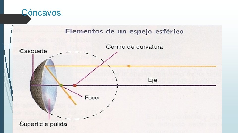 Cóncavos. Elementos: 