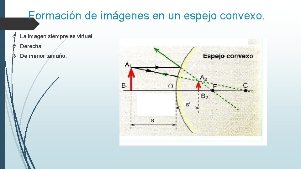 Formación de imágenes en un espejo convexo. La imagen siempre es virtual Derecha De