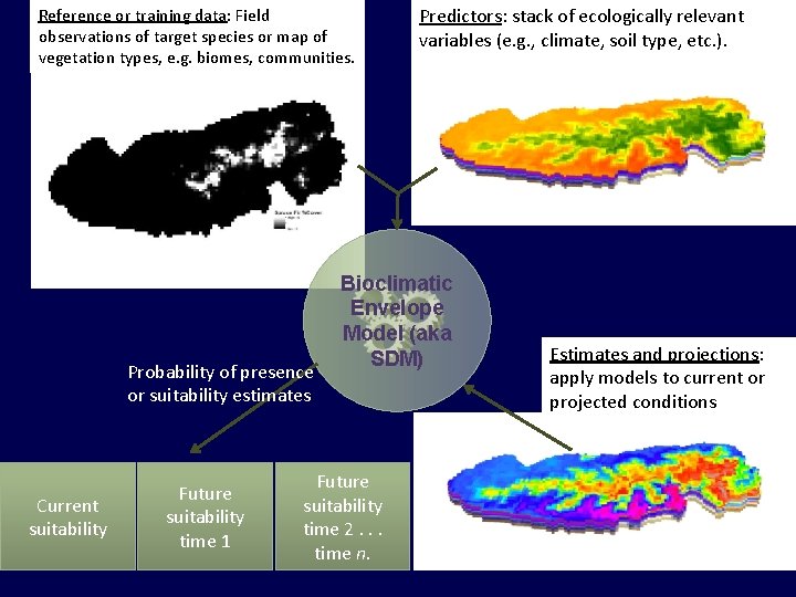 Reference or training data: Field observations of target species or map of vegetation types,