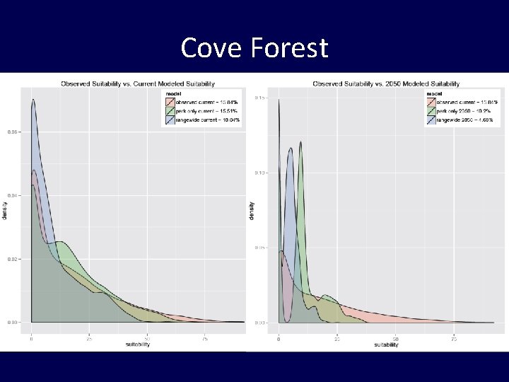 Cove Forest 