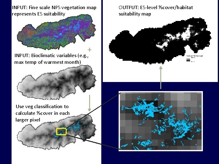 INPUT: Fine scale NPS vegetation map represents ES suitability + INPUT: Bioclimatic variables (e.