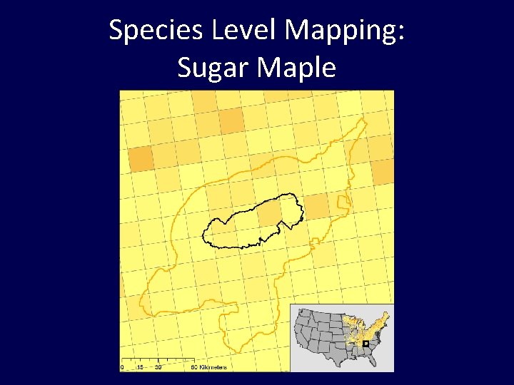 Species Level Mapping: Sugar Maple 