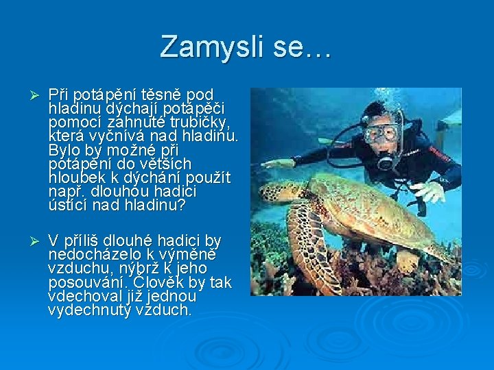 Zamysli se… Ø Při potápění těsně pod hladinu dýchají potápěči pomocí zahnuté trubičky, která