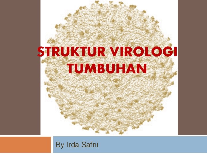 STRUKTUR VIROLOGI TUMBUHAN By Irda Safni 