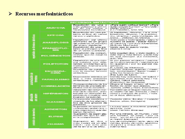 Ø Recursos morfosintácticos 