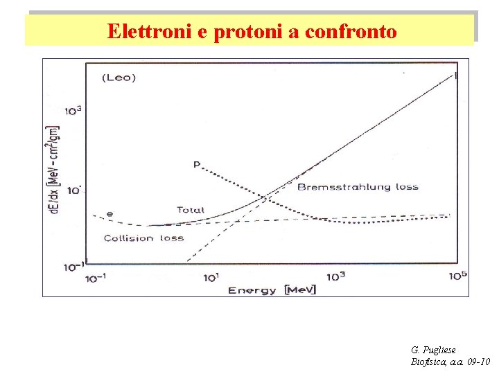 Elettroni e protoni a confronto G. Pugliese Biofisica, a. a. 09 -10 