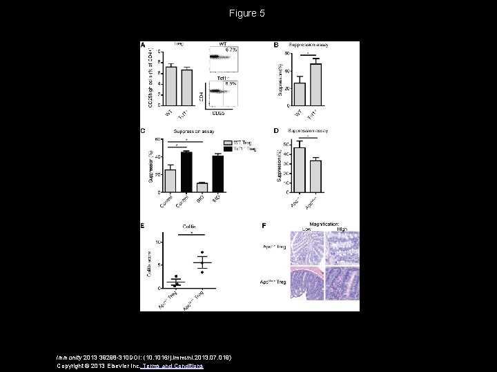 Figure 5 Immunity 2013 39298 -310 DOI: (10. 1016/j. immuni. 2013. 07. 019) Copyright