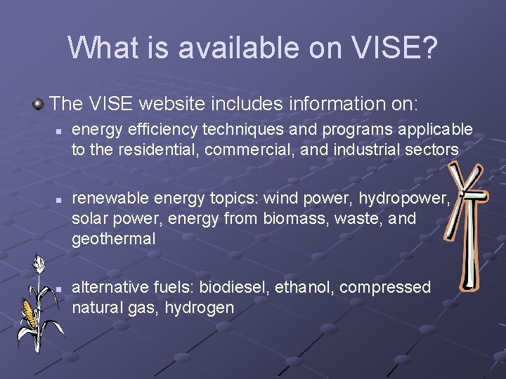 What is available on VISE? The VISE website includes information on: n n n