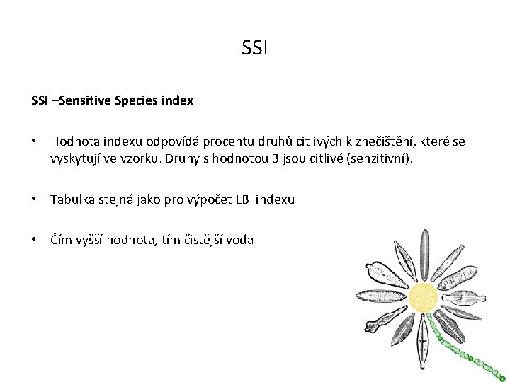 SSI –Sensitive Species index • Hodnota indexu odpovídá procentu druhů citlivých k znečištění, které