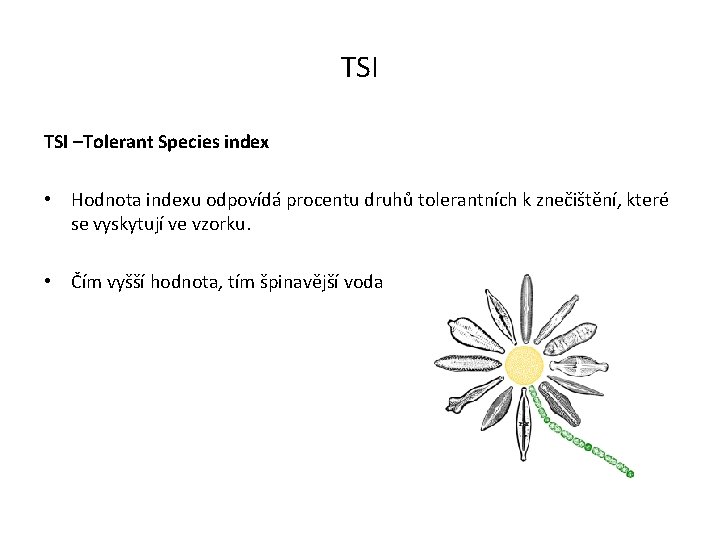 TSI –Tolerant Species index • Hodnota indexu odpovídá procentu druhů tolerantních k znečištění, které