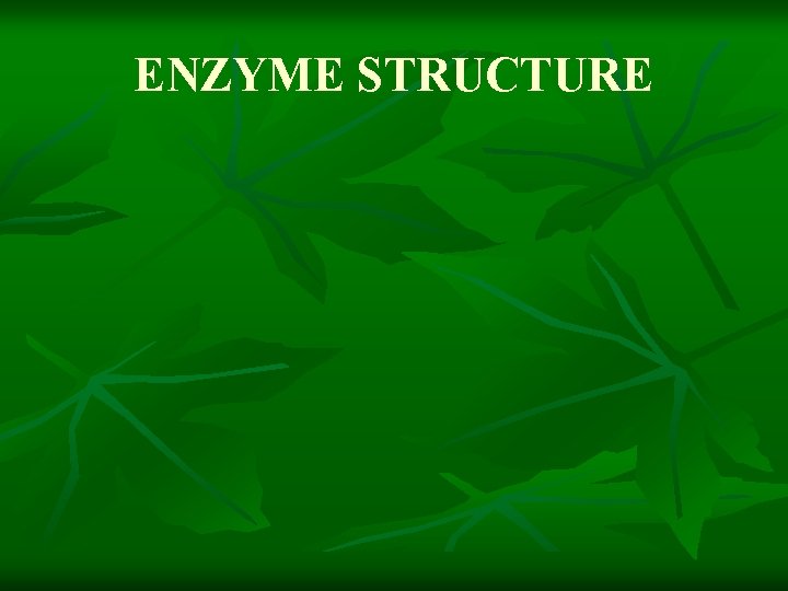 ENZYME STRUCTURE 