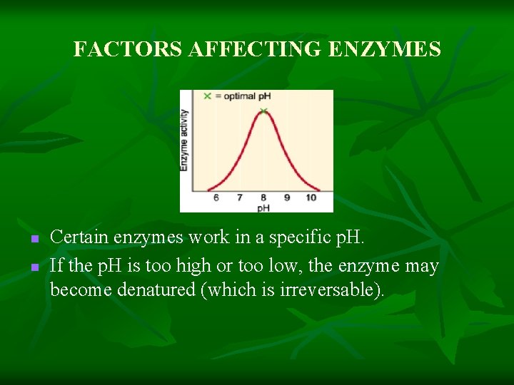 FACTORS AFFECTING ENZYMES n n Certain enzymes work in a specific p. H. If