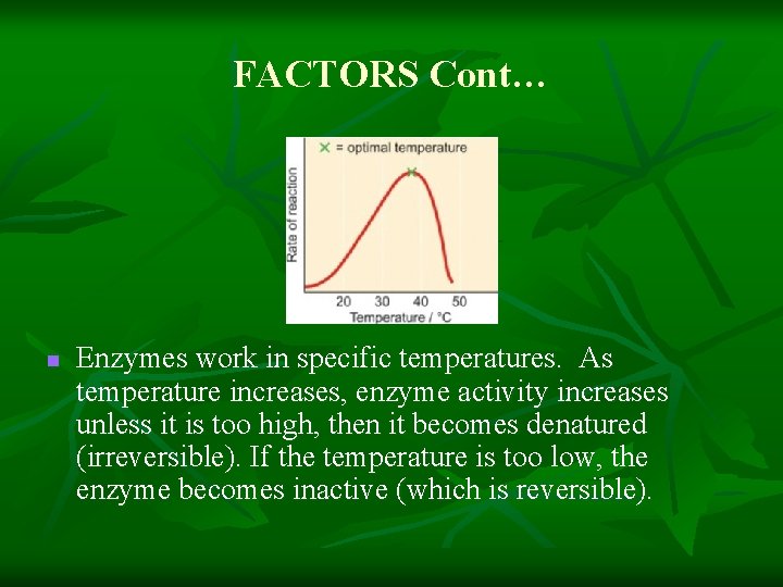 FACTORS Cont… n Enzymes work in specific temperatures. As temperature increases, enzyme activity increases