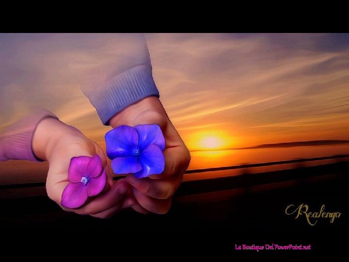 La Boutique Del Power. Point. net 