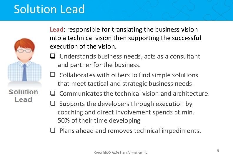 Solution Lead: responsible for translating the business vision into a technical vision then supporting