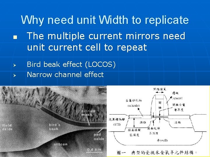 Why need unit Width to replicate n Ø Ø The multiple current mirrors need