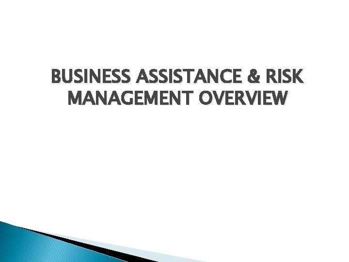 BUSINESS ASSISTANCE & RISK MANAGEMENT OVERVIEW 